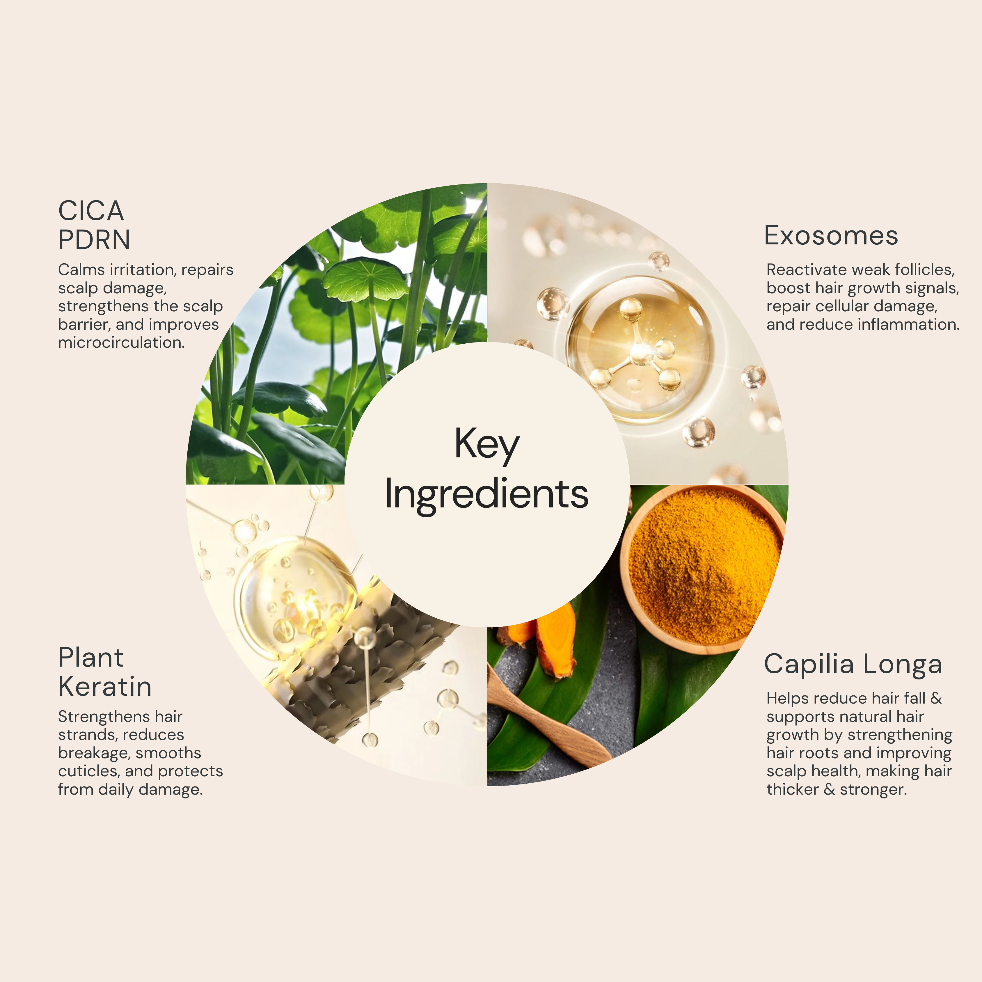 CICA PDRN AND EXOSOMES HAIRFALL CONTROL HAIR MASK