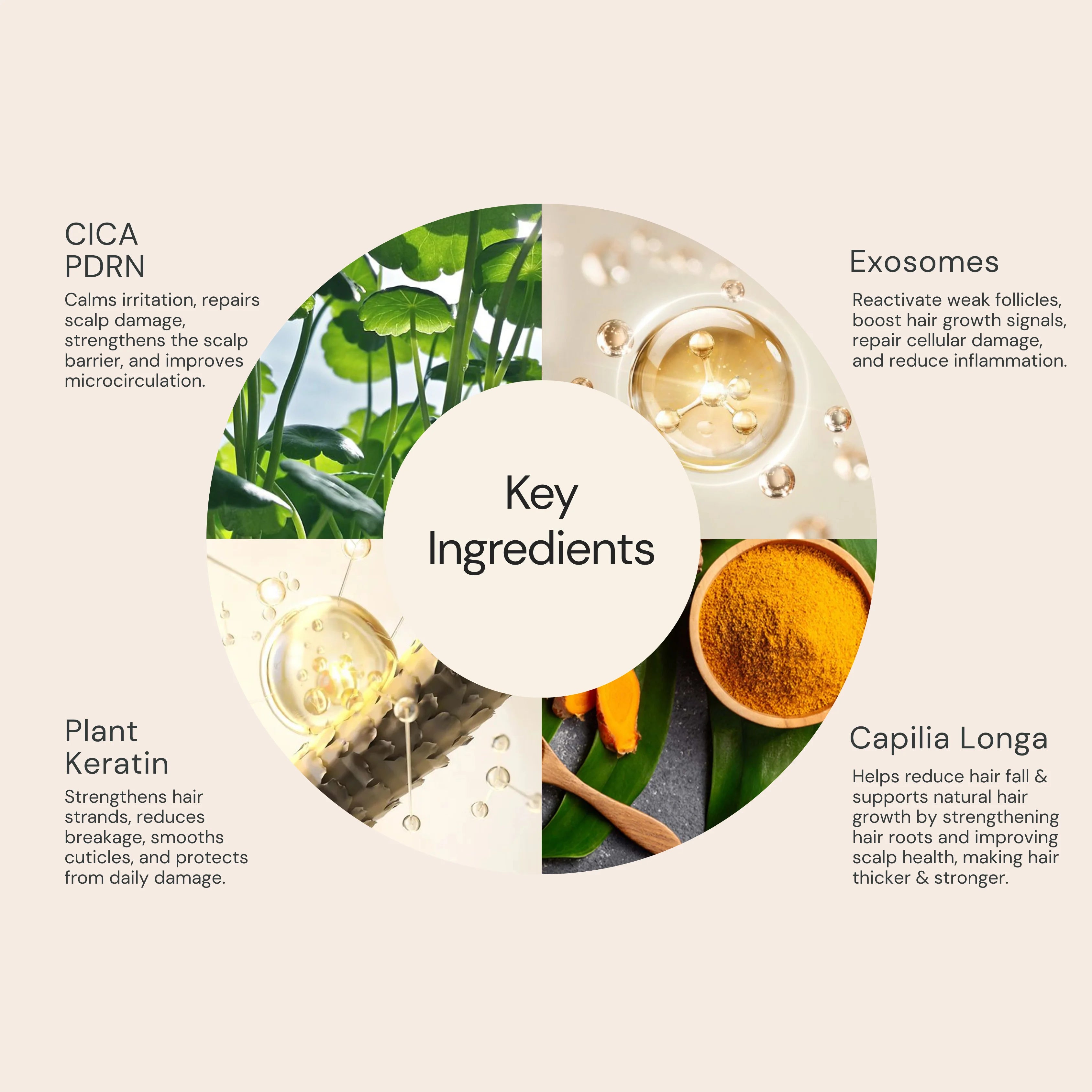 CICA PDRN AND EXOSOMES HAIRFALL CONTROL SHAMPOO AND HAIR MASK + ANTI HAIRFALL AND HAIR GROWTH BOOSTER SERUM SHOTS (10 VIALS)